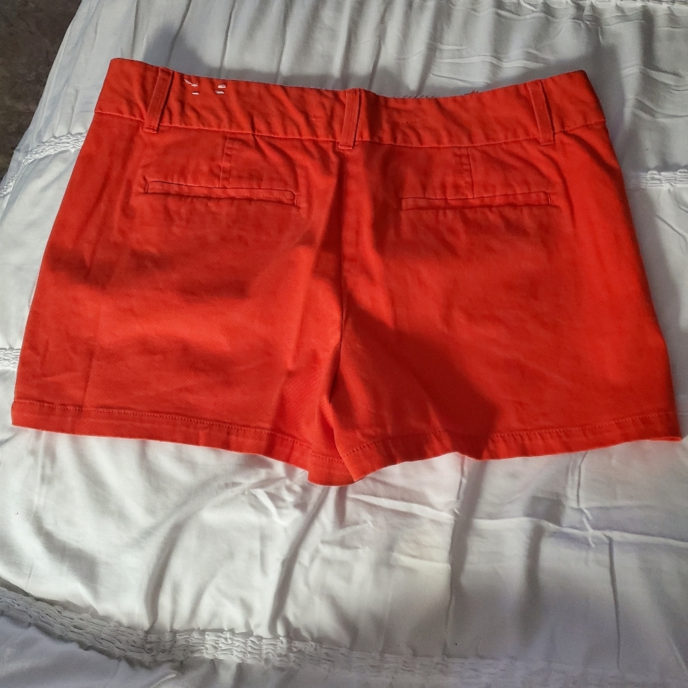 LOFT SHORTS - Picture 2 of 4